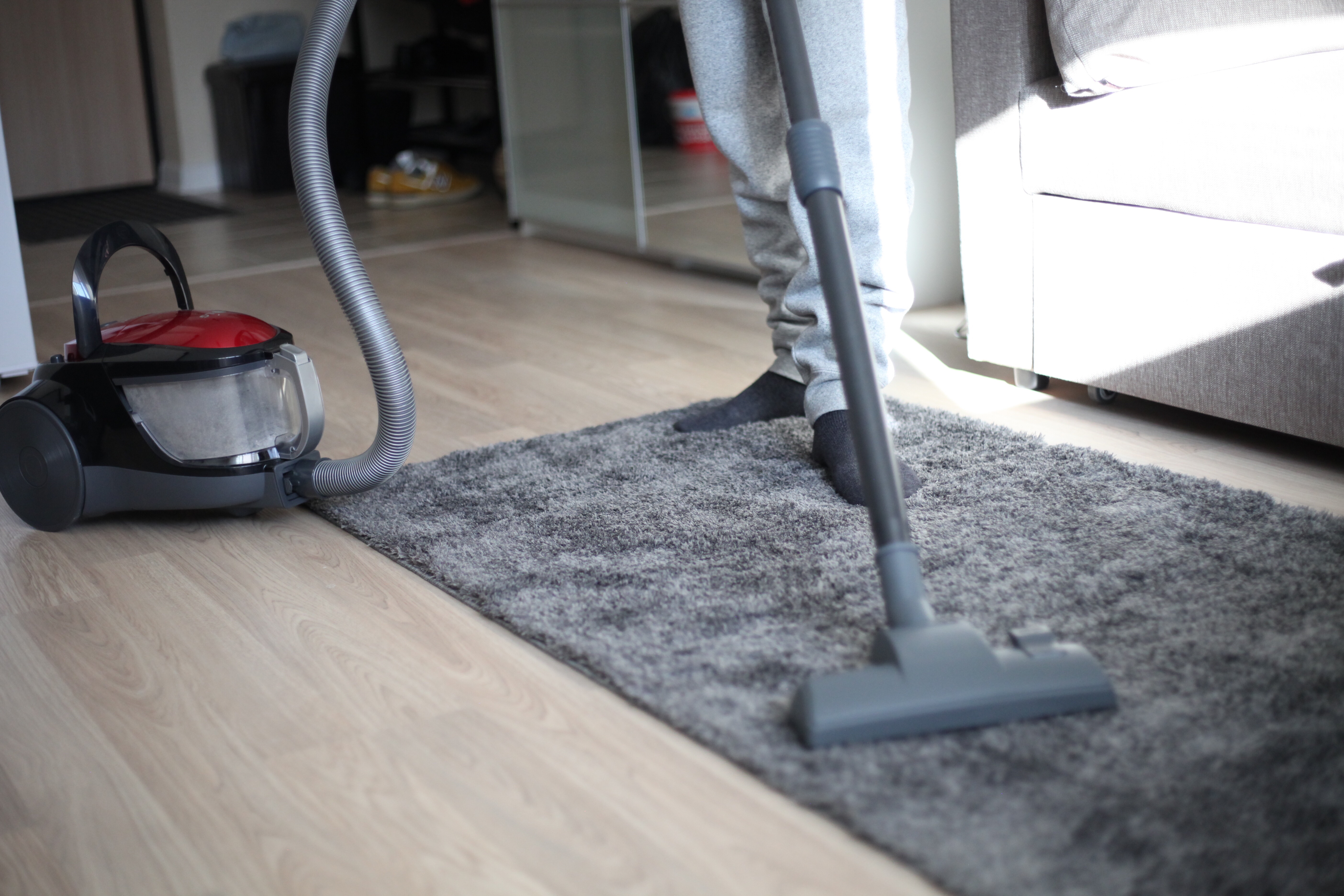 How to Keep Your Carpets in Pristine Condition A Beginner's Guide